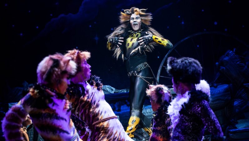 A Behind-The-Scenes Look at The Musical Cats - Hour Detroit Magazine